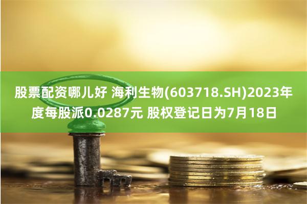 股票配资哪儿好 海利生物(603718.SH)2023年度每股派0.0287元 股权登记日为7月18日