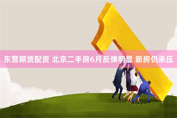 东营期货配资 北京二手房6月反弹明显 新房仍承压