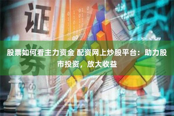 股票如何看主力资金 配资网上炒股平台：助力股市投资，放大收益