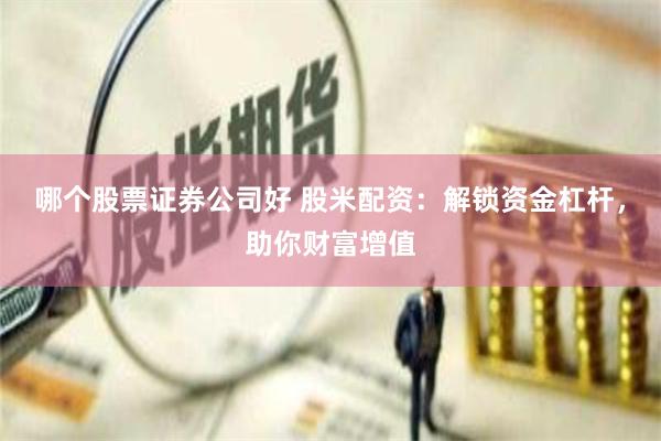 哪个股票证券公司好 股米配资：解锁资金杠杆，助你财富增值