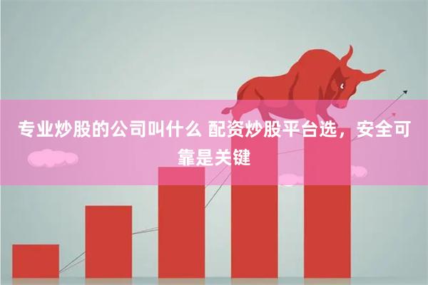 专业炒股的公司叫什么 配资炒股平台选，安全可靠是关键