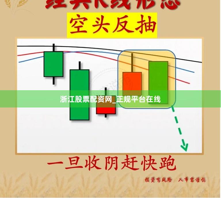 浙江股票配资网_正规平台在线
